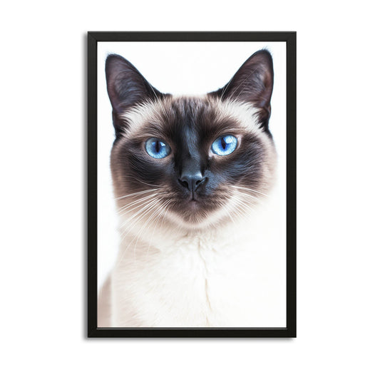 Sapphire Eyes Cat Wall Art – canvas print on white background