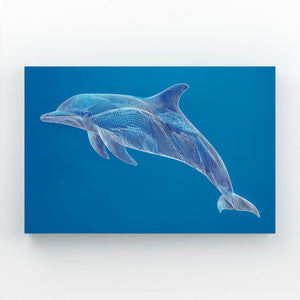 Sapphire Line Dolphin Art