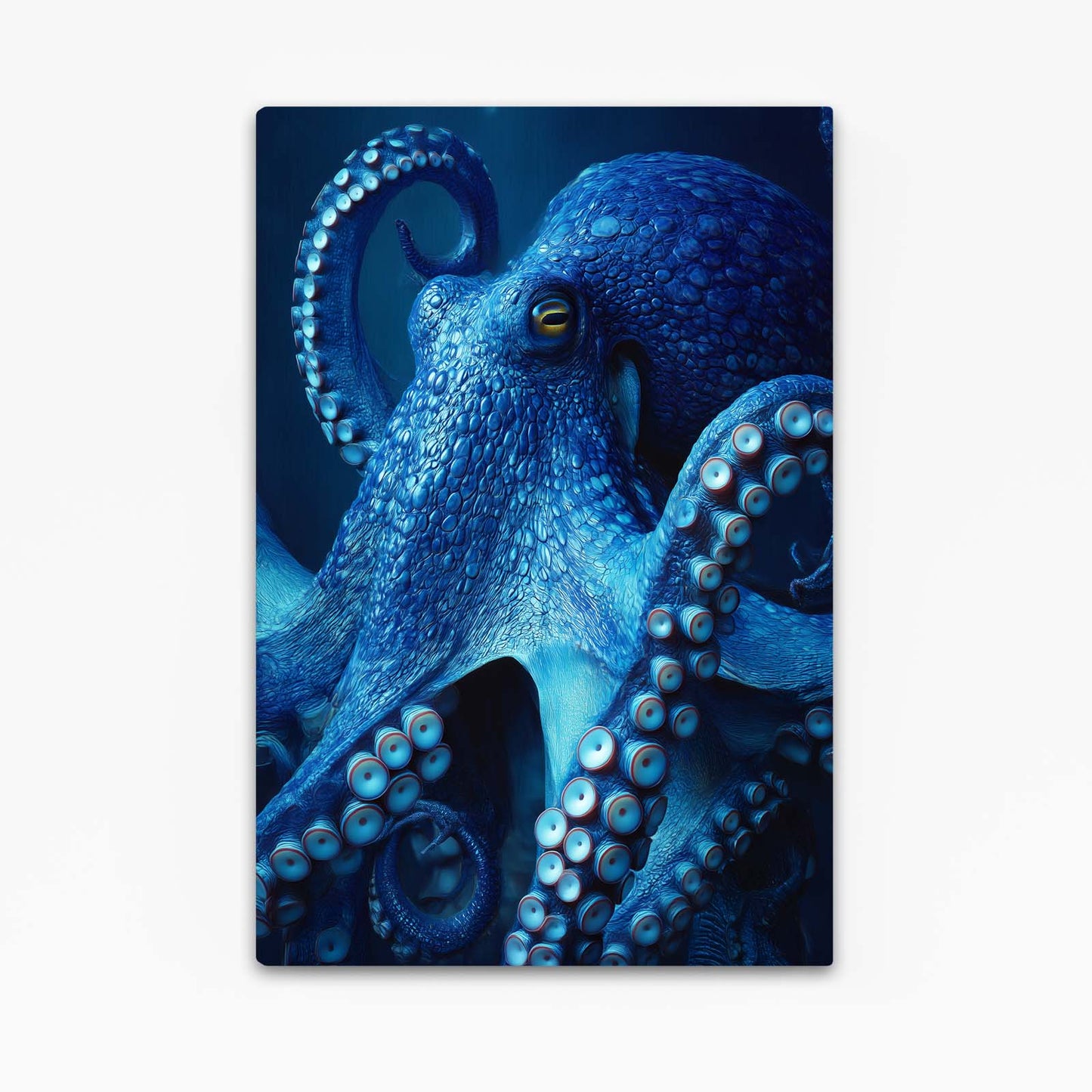 Sapphire Reef Gaze Octopus Wall Decor – sapphire reef gaze octopus canvas print