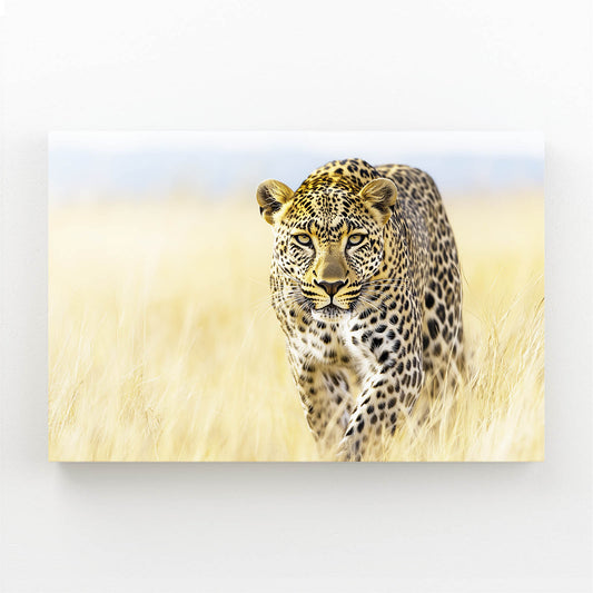 Savanna Walk Leopard Canvas – savanna walk leopard canvas print