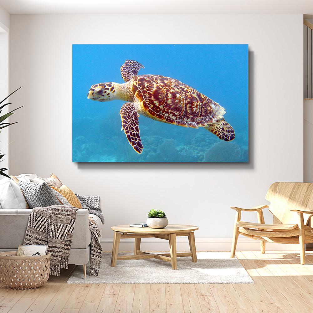 Sea Turtle Photography Wall Art – canvas print, view 5