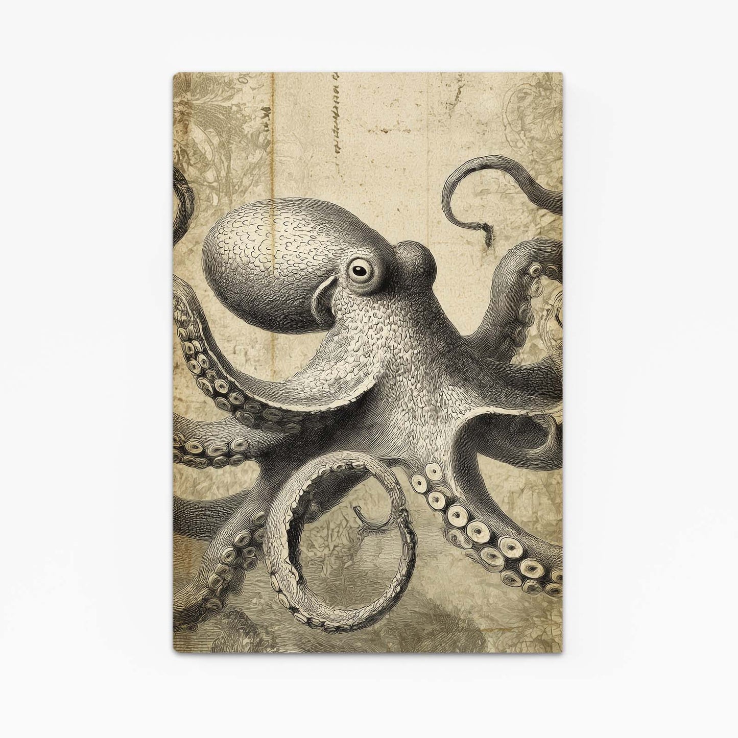 Sepia Etching Octopus Wall Decor – sepia etching octopus canvas print
