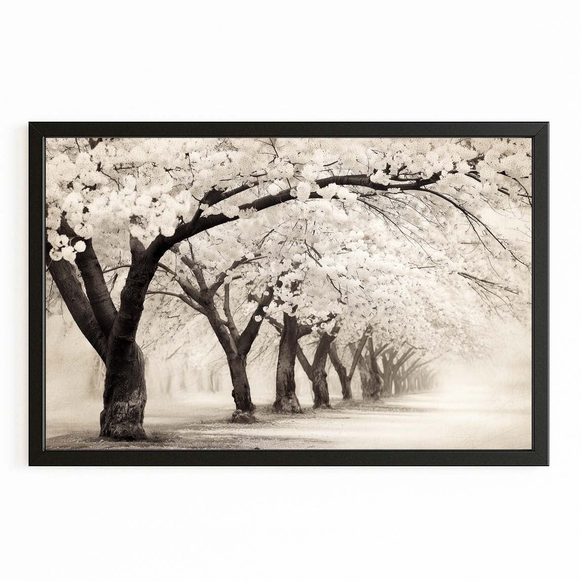 Sepia Orchard Cherry Blossom Wall Decor – with Premium Black frame on white background
