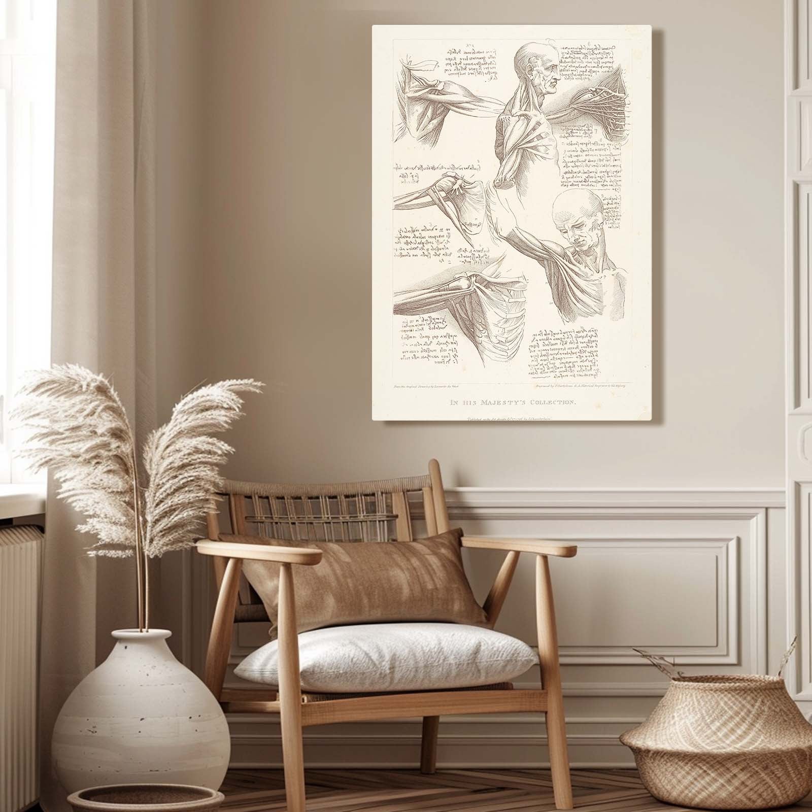 Shoulder Anatomy Study Da Vinci Canvas Art – styled in a furnished interior