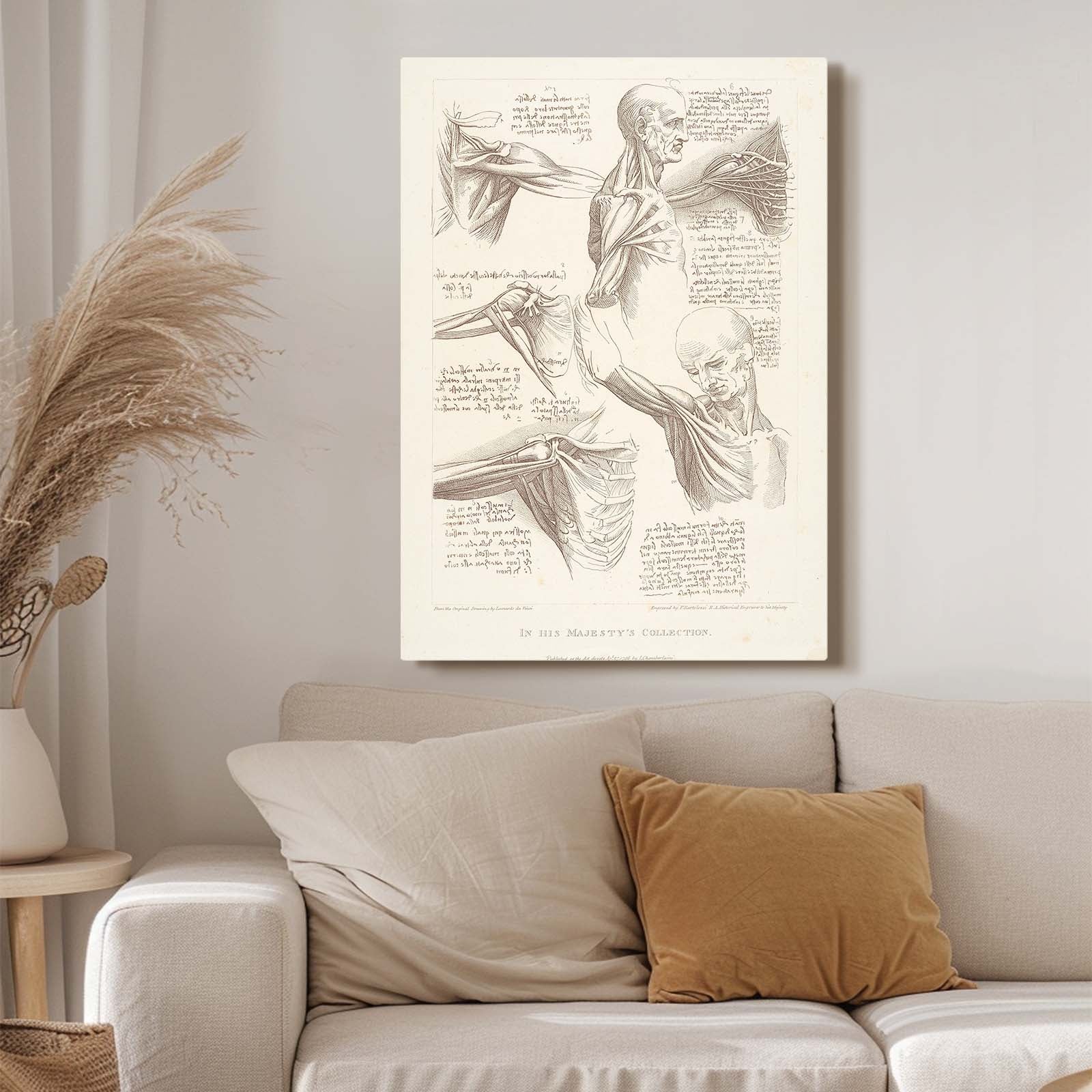 Shoulder Anatomy Study Da Vinci Canvas Art – styled in a furnished interior