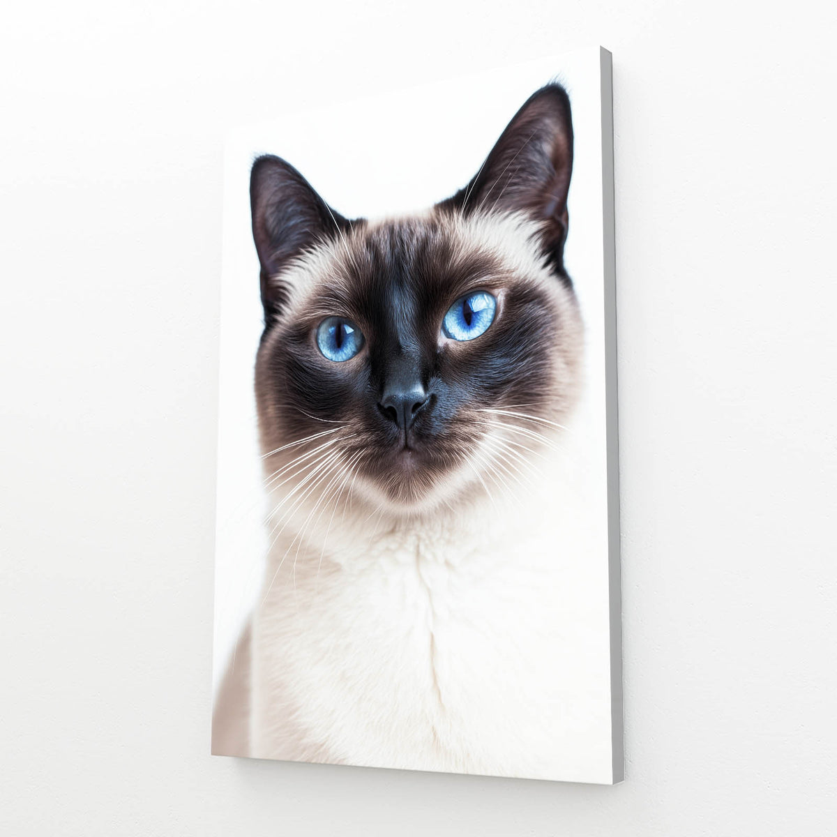 Siamese Blue Eyes Cat Prints — minimalist canvas print, angled canvas view on white background