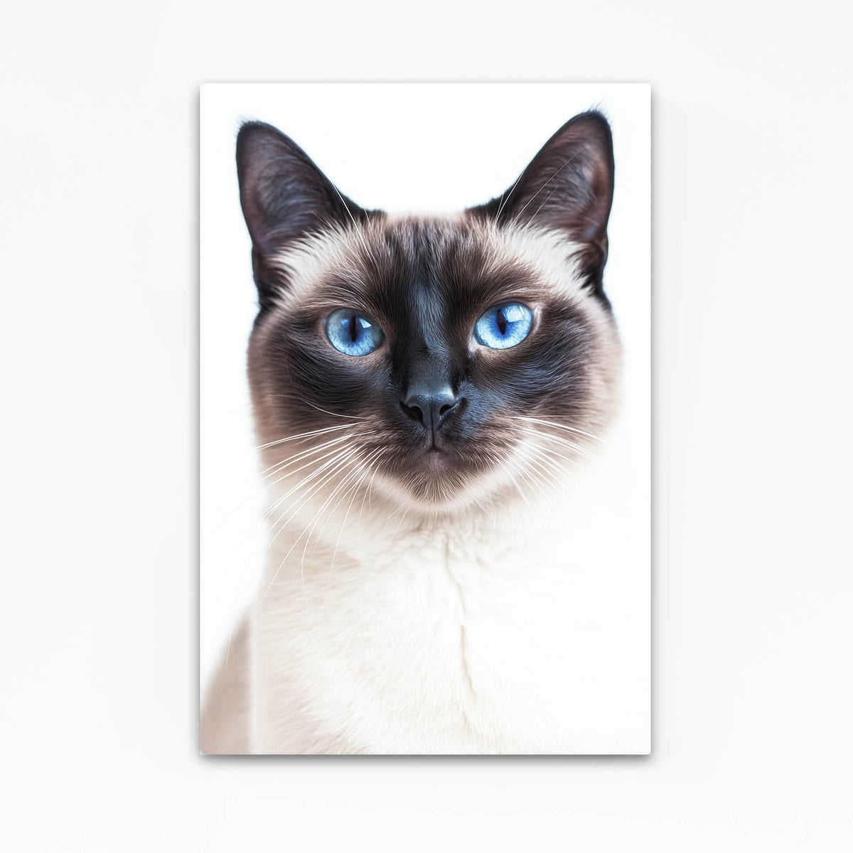 Siamese Blue Eyes Cat Prints — minimalist canvas print, angled canvas view on white background