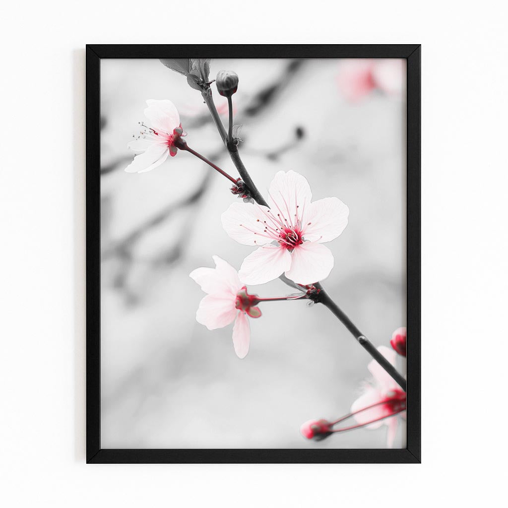 Silver Branch Macro Cherry Blossom Canvas – with Premium Black frame on white background