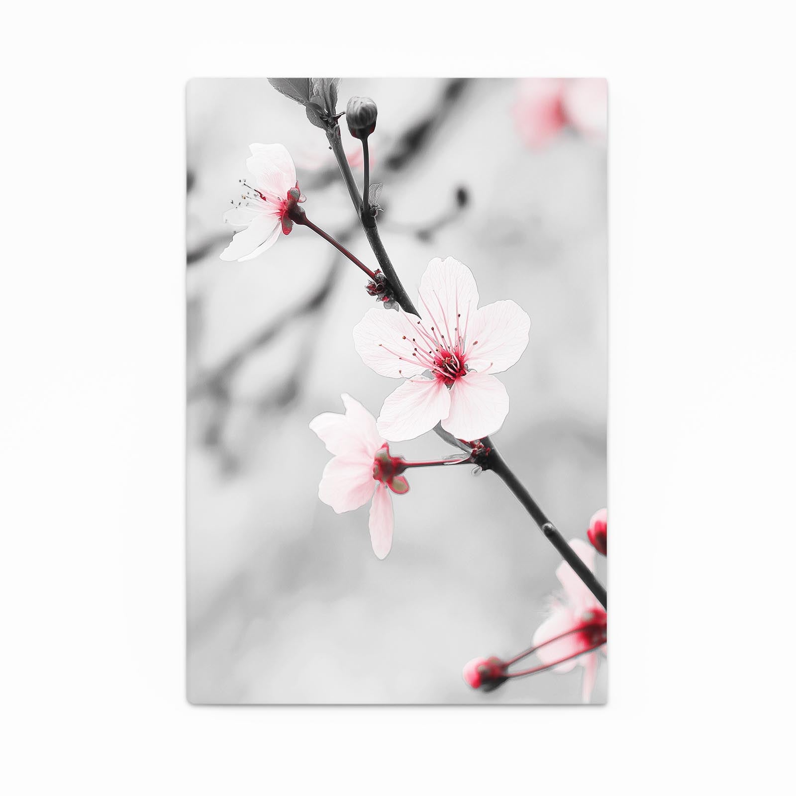 Silver Branch Macro Cherry Blossom Canvas – silver branch macro cherry blossom canvas print