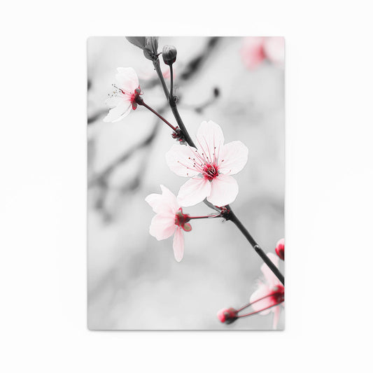 Silver Branch Macro Cherry Blossom Canvas – silver branch macro cherry blossom canvas print