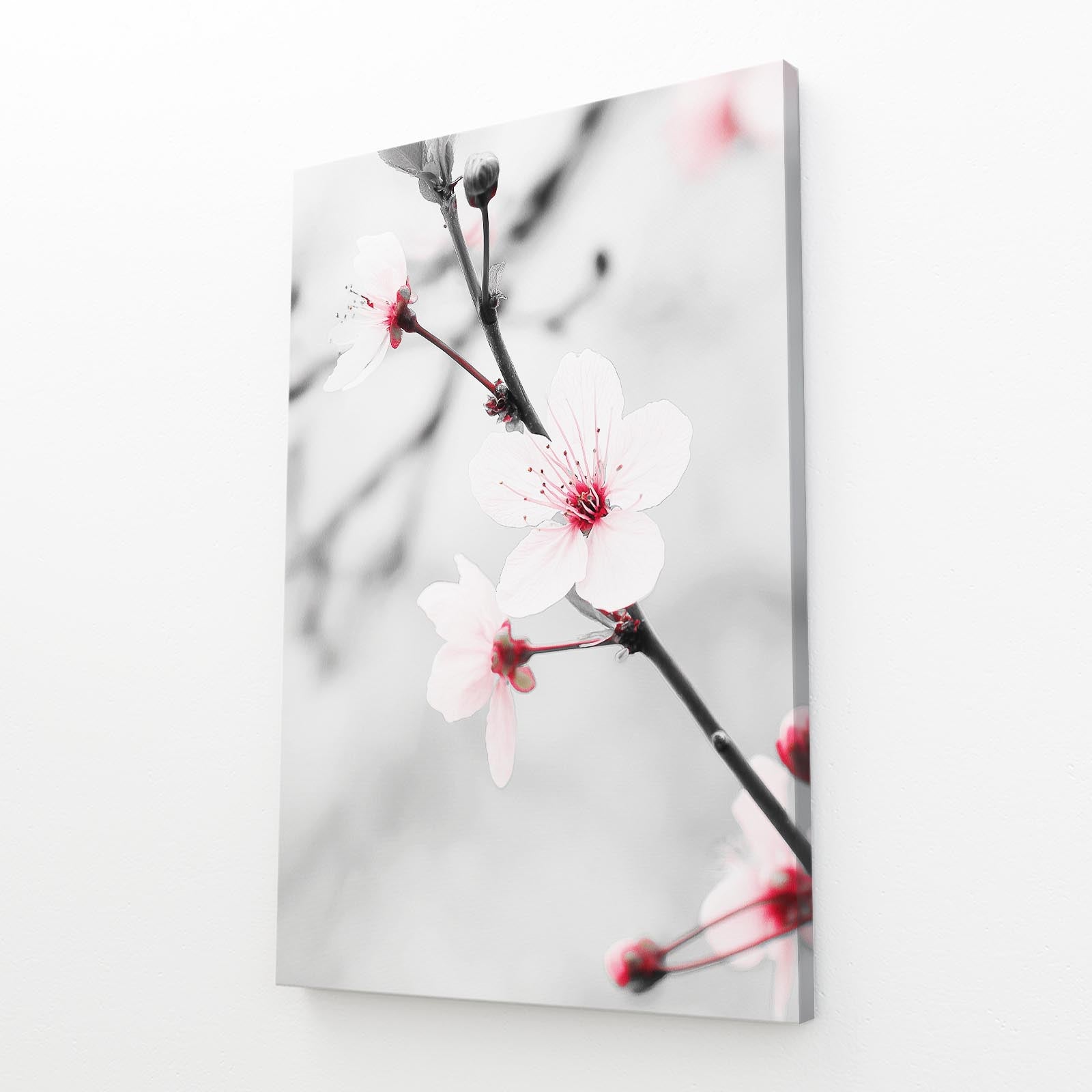 Silver Branch Macro Cherry Blossom Canvas – angled canvas view on white background