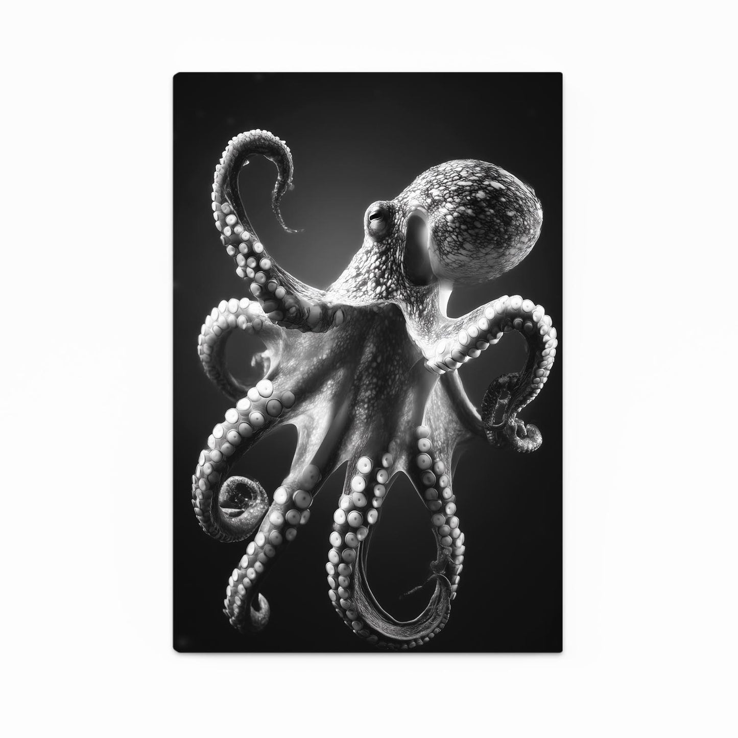 Silver Etch Study Octopus Wall Decor – silver etch study octopus canvas print