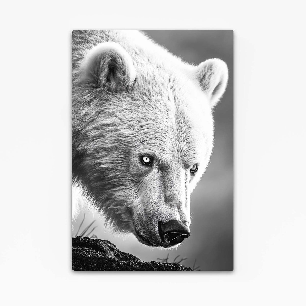 Silver Fur Closeup Bear Wall Decor — photography canvas print, angled canvas view on white background
