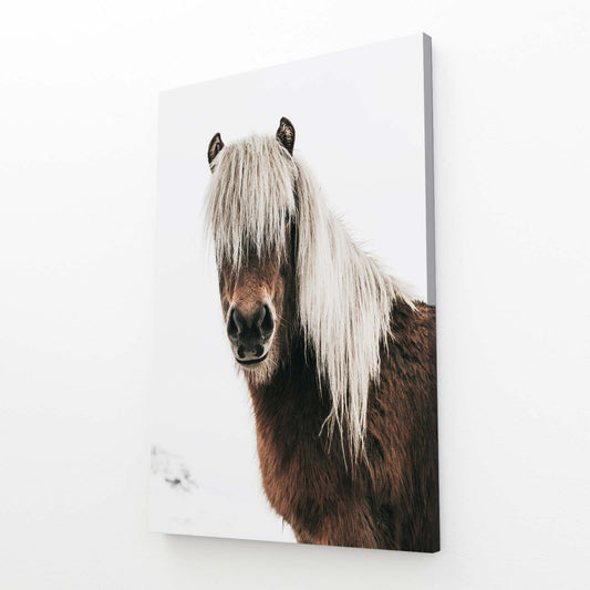 Silver Mane Pony Horse Wall Art — photography canvas print, angled canvas view on white background