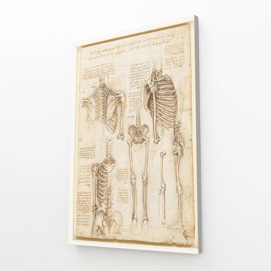 Skeleton Anatomy Studies Da Vinci Prints — line canvas print, angled canvas view on white background