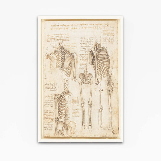 Skeleton Anatomy Studies Da Vinci Prints — line canvas print, angled canvas view on white background