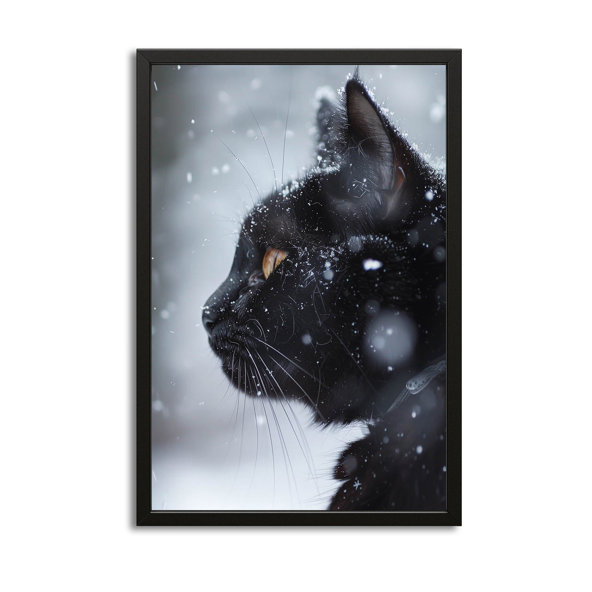 Snow Gaze Cat Art – canvas print on white background