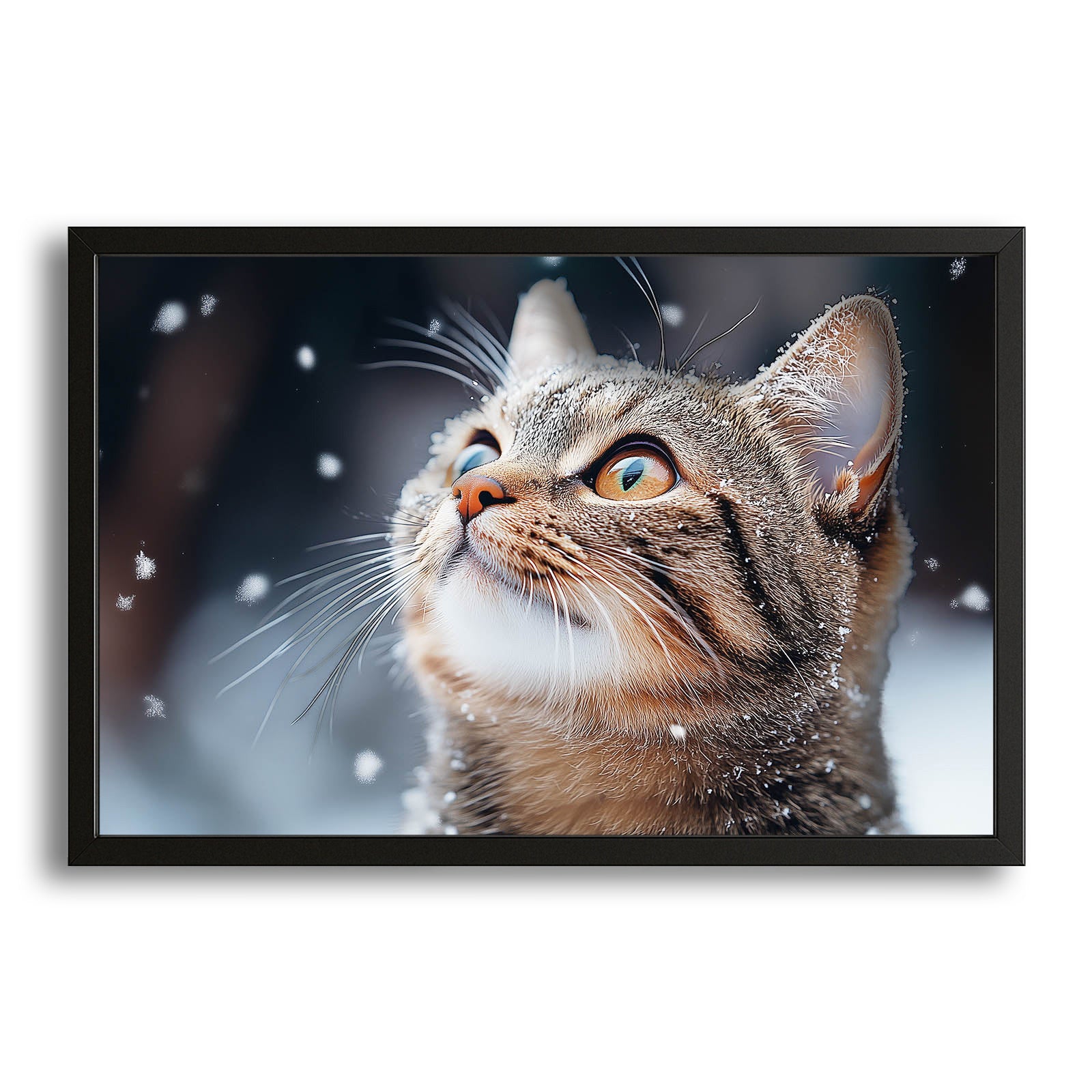 Snow Gaze Wall Art Cat – canvas print on white background