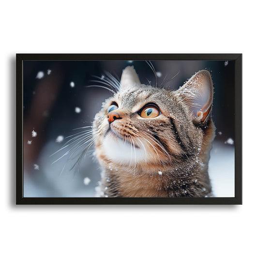 Snow Gaze Wall Art Cat – canvas print on white background