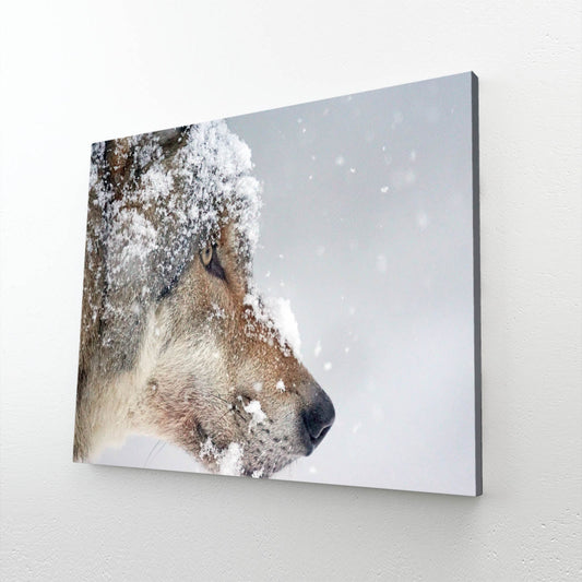 Snow Wolf Art – canvas print on white background