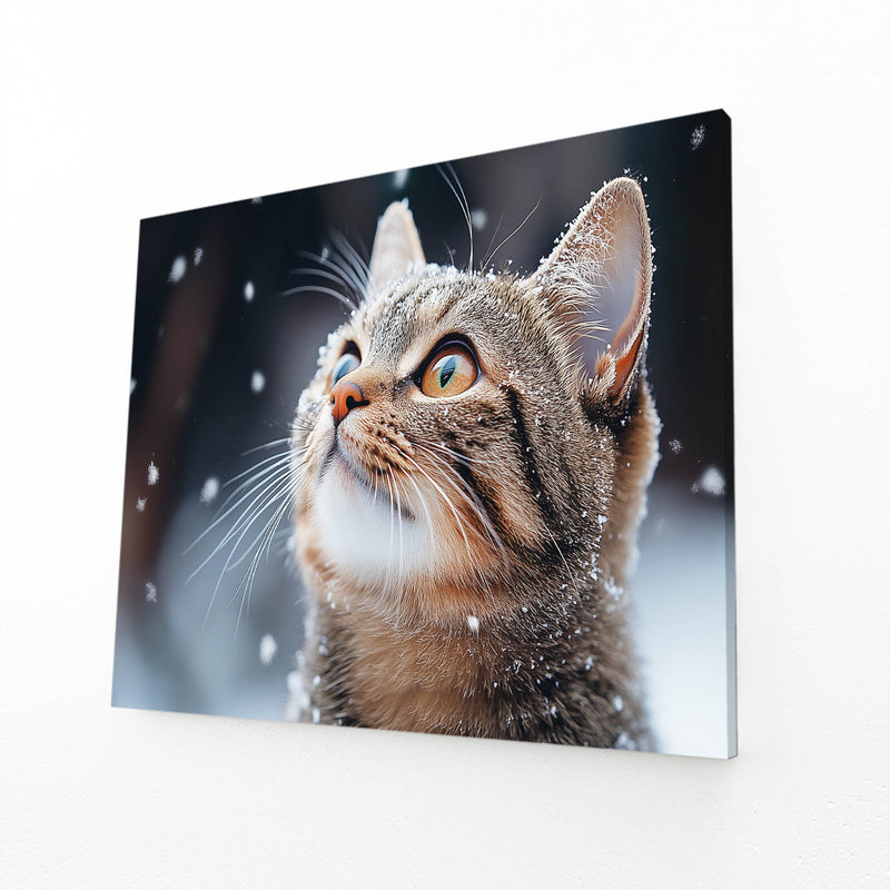 Snowfall Gaze Cat Wall Art — photography canvas print, angled canvas view on white background