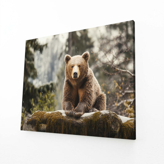 Snowy Rock Cub Bear Wall Art — photography canvas print, angled canvas view on white background