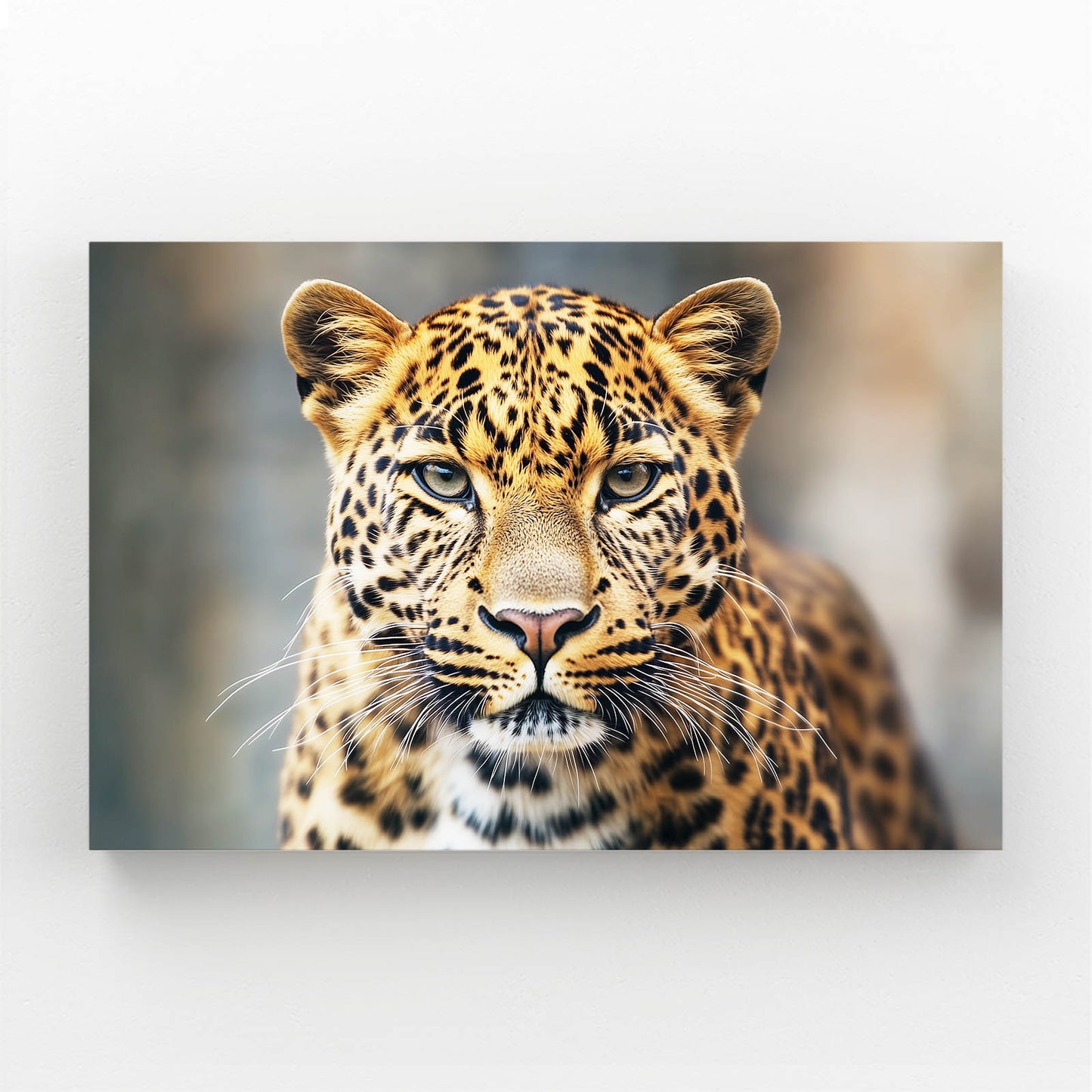 Soft Focus Portrait Leopard Prints – soft focus portrait leopard canvas print