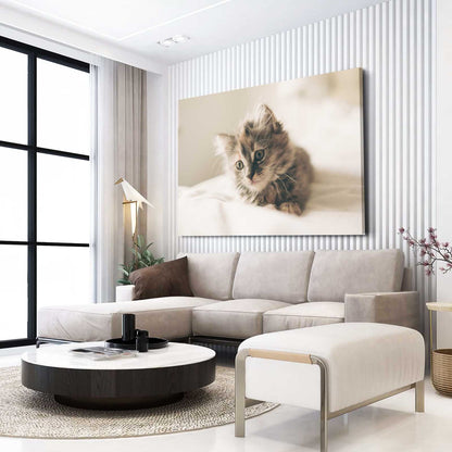 Soft Light Cat Wall Art