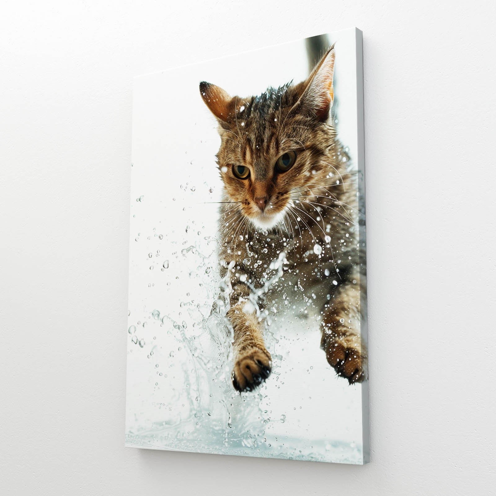 Splash Hunter Cat Art