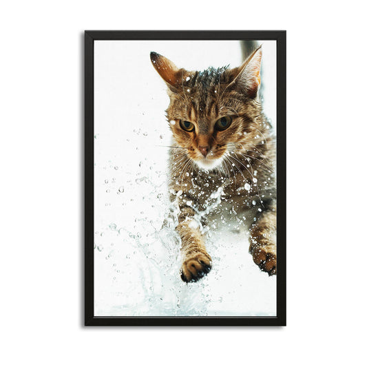 Splash Hunter Cat Art – canvas print on white background