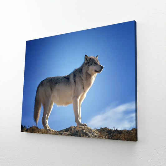 Standing Wolf Wall Art