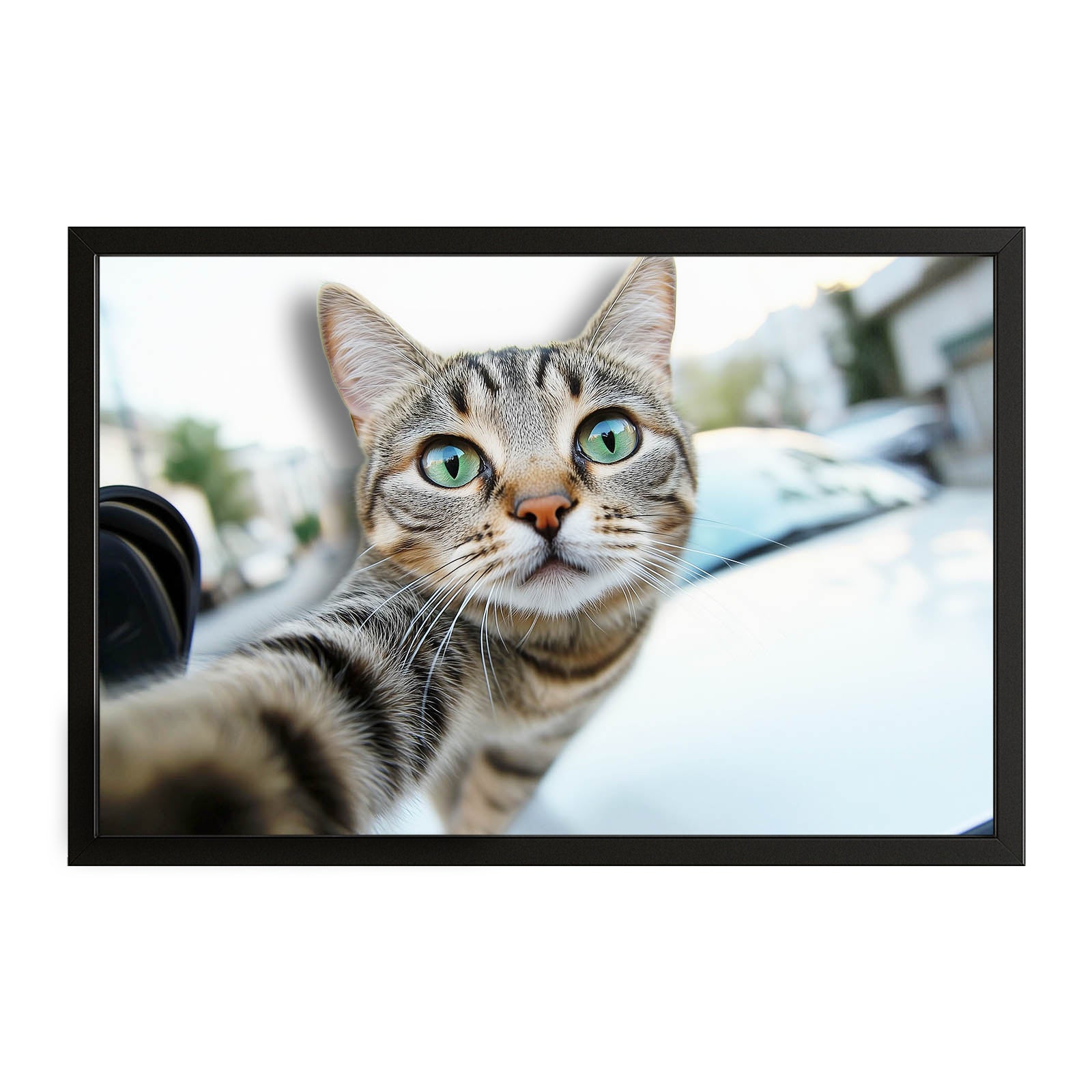 Street Selfie Cat Art – canvas print on white background