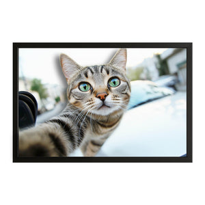 Street Selfie Cat Art