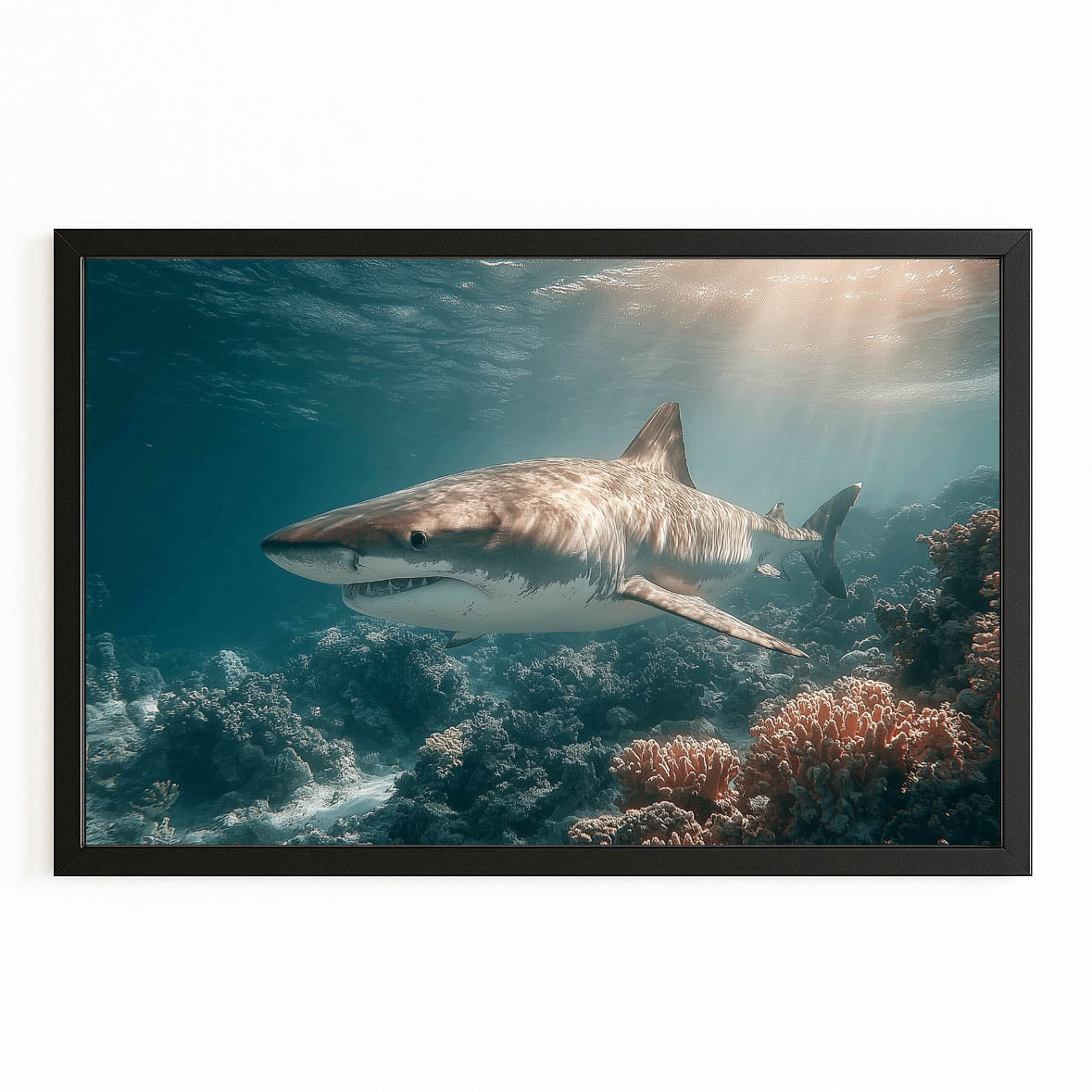 Sunbeam Reef Shark Canvas Art – with Premium Black frame on white background