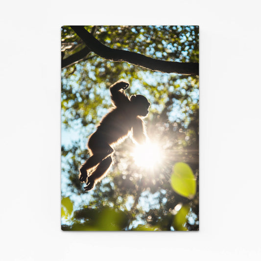 Sunburst Leap Monkey Art – sunburst leap monkey canvas print