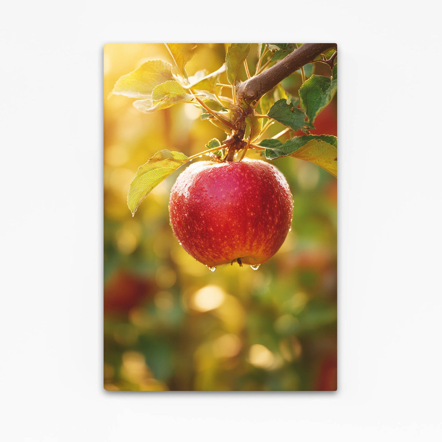 Sunlit Orchard Branch Apple Prints – sunlit orchard branch apple canvas print