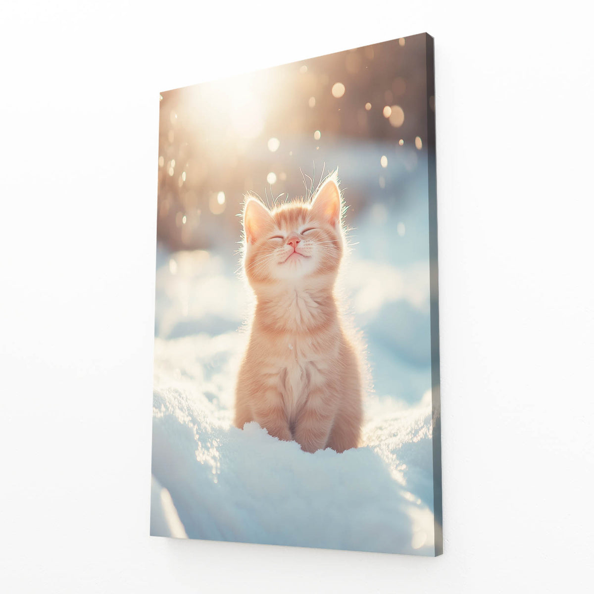 Sunlit Snow Kitten Cat Canvas Art — photography canvas print, angled canvas view on white background