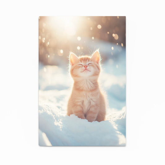 Sunlit Snow Kitten Cat Canvas Art — photography canvas print, canvas print on white background