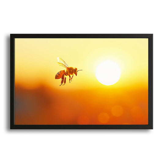 Sunrise Bee Art – canvas print on white background