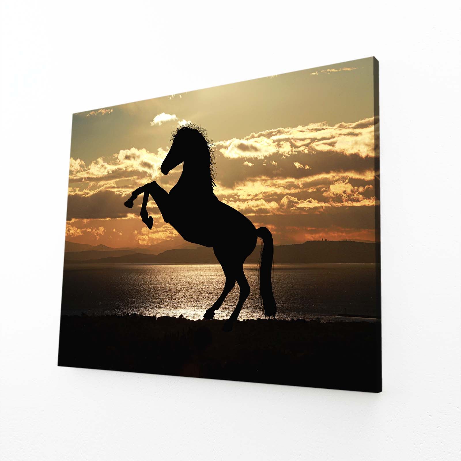 Sunset Rear Silhouette Horse Canvas Art — photography canvas print, angled canvas view on white background