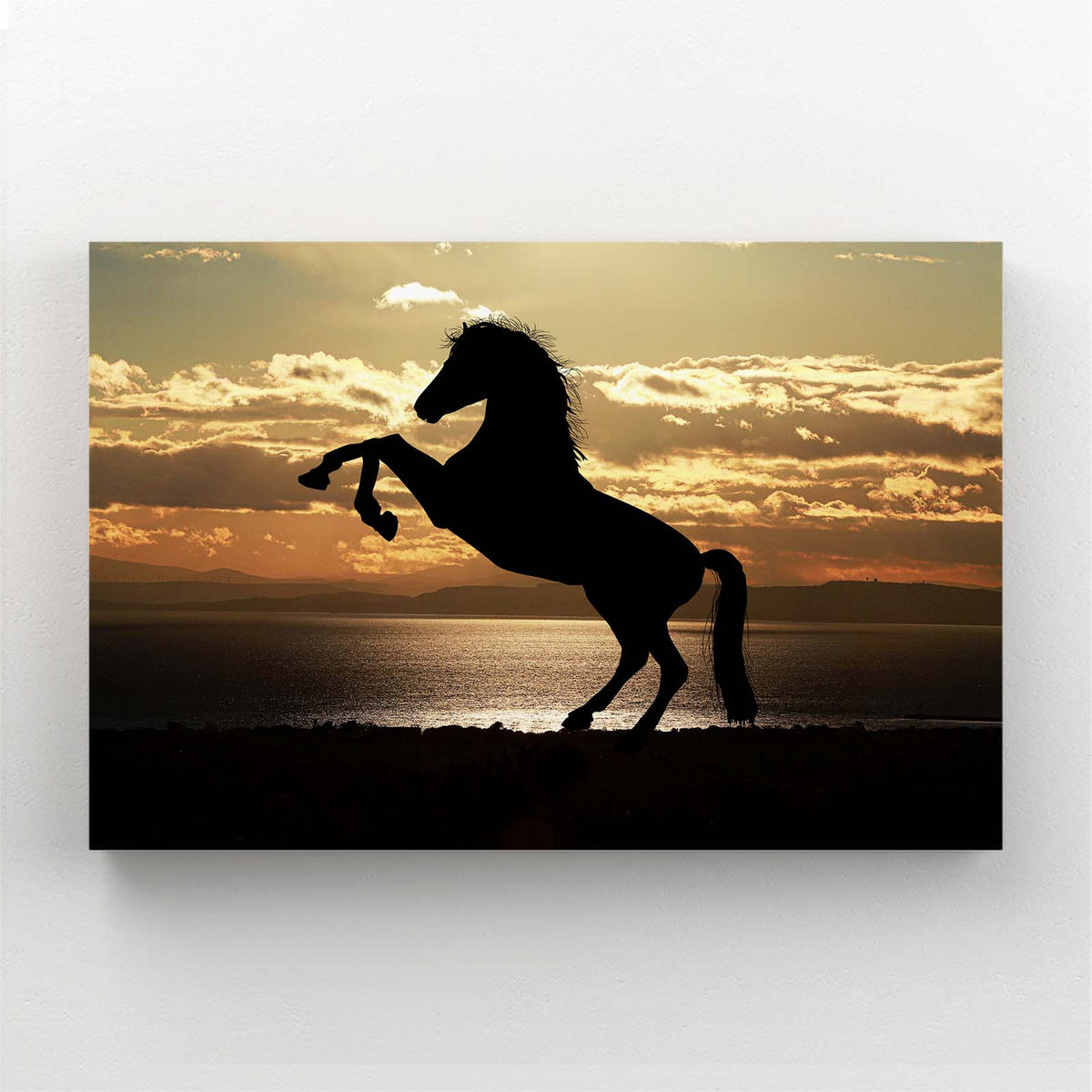 Sunset Rear Silhouette Horse Canvas Art — photography canvas print, canvas print on white background