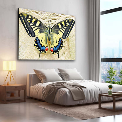 Swallowtail Butterfly Wall Art