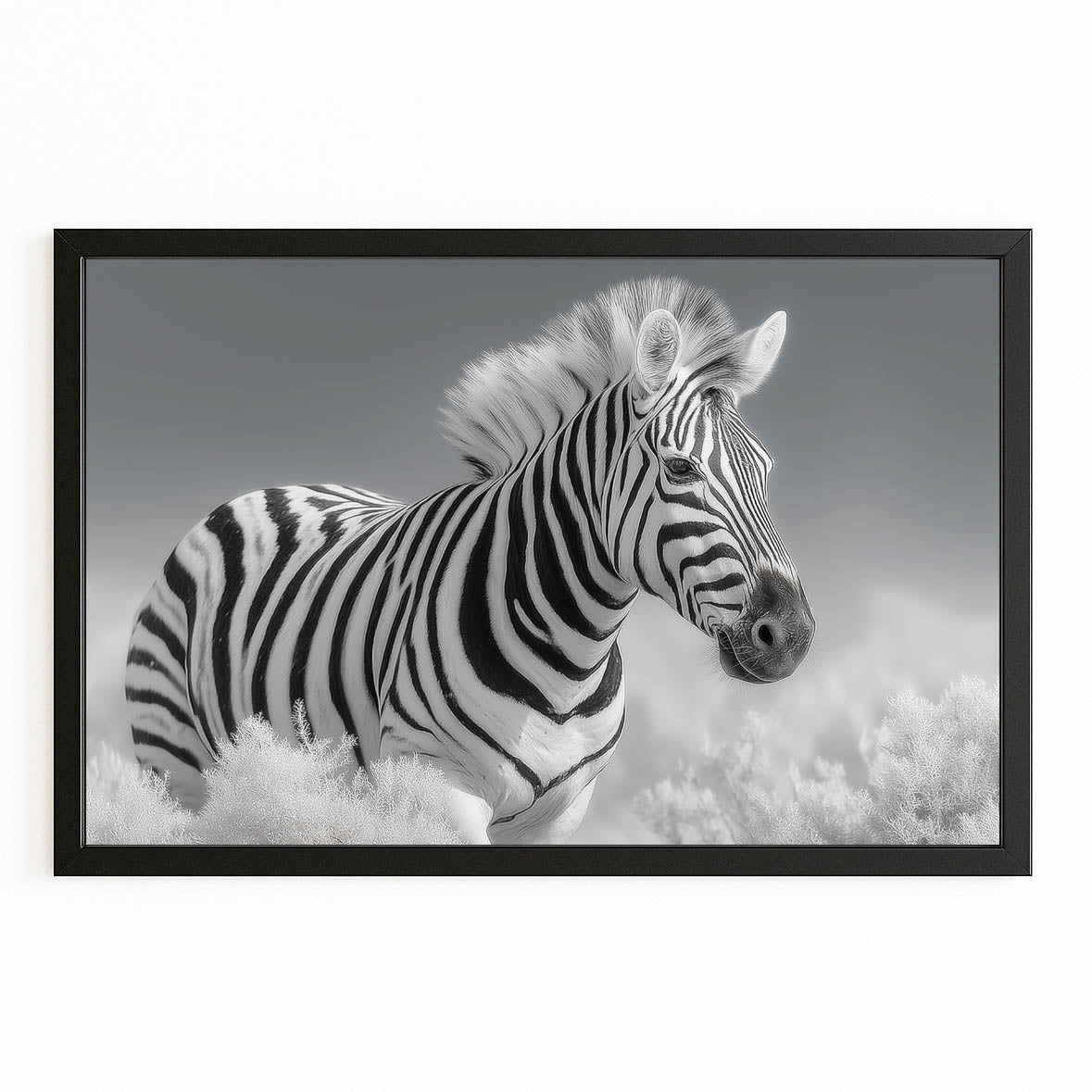Timeless Zebra Art – with Premium Black frame on white background