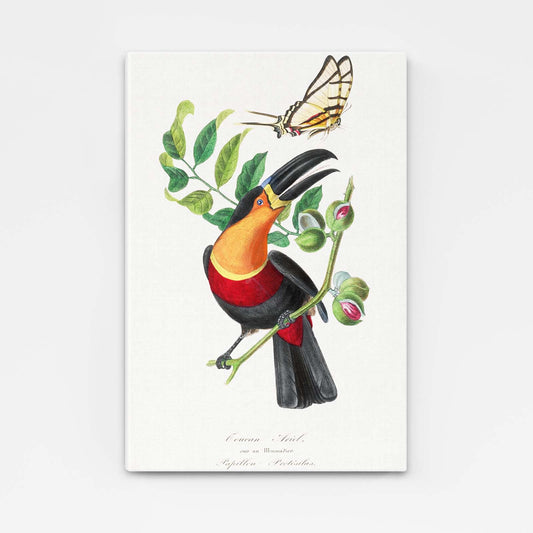 Toucan And Butterfly Wall Art