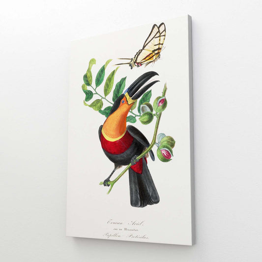 Toucan And Butterfly Wall Art