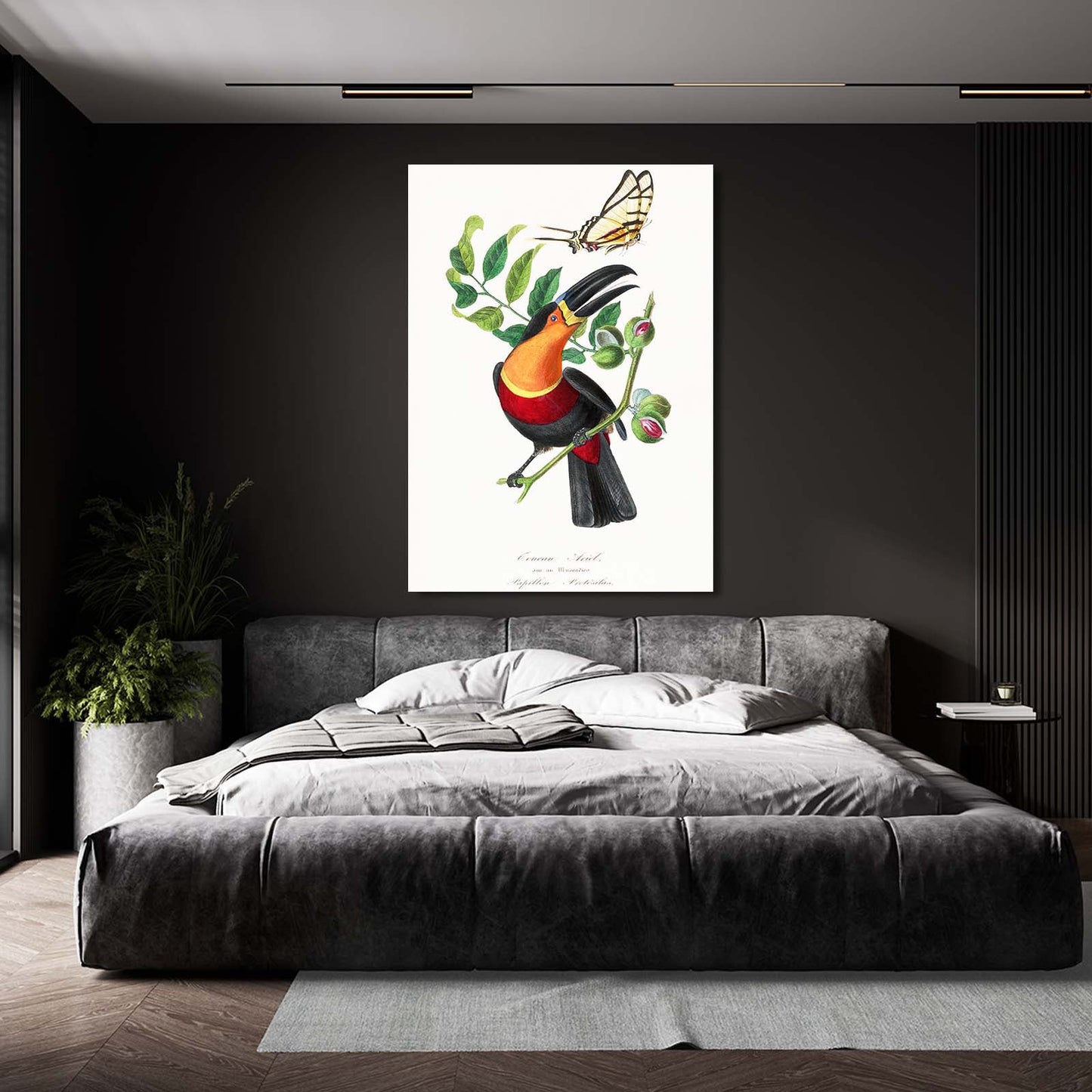 Toucan And Butterfly Wall Art