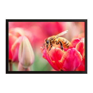 Tulip Blossom Bee Art
