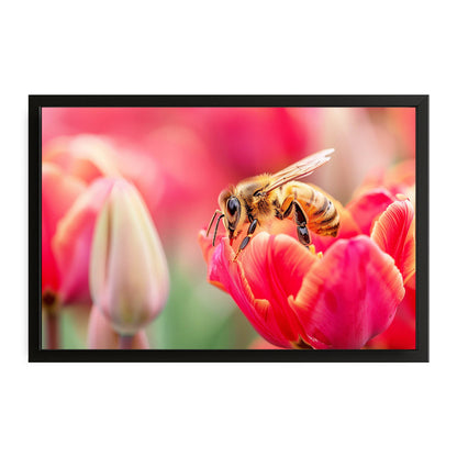 Tulip Blossom Bee Art