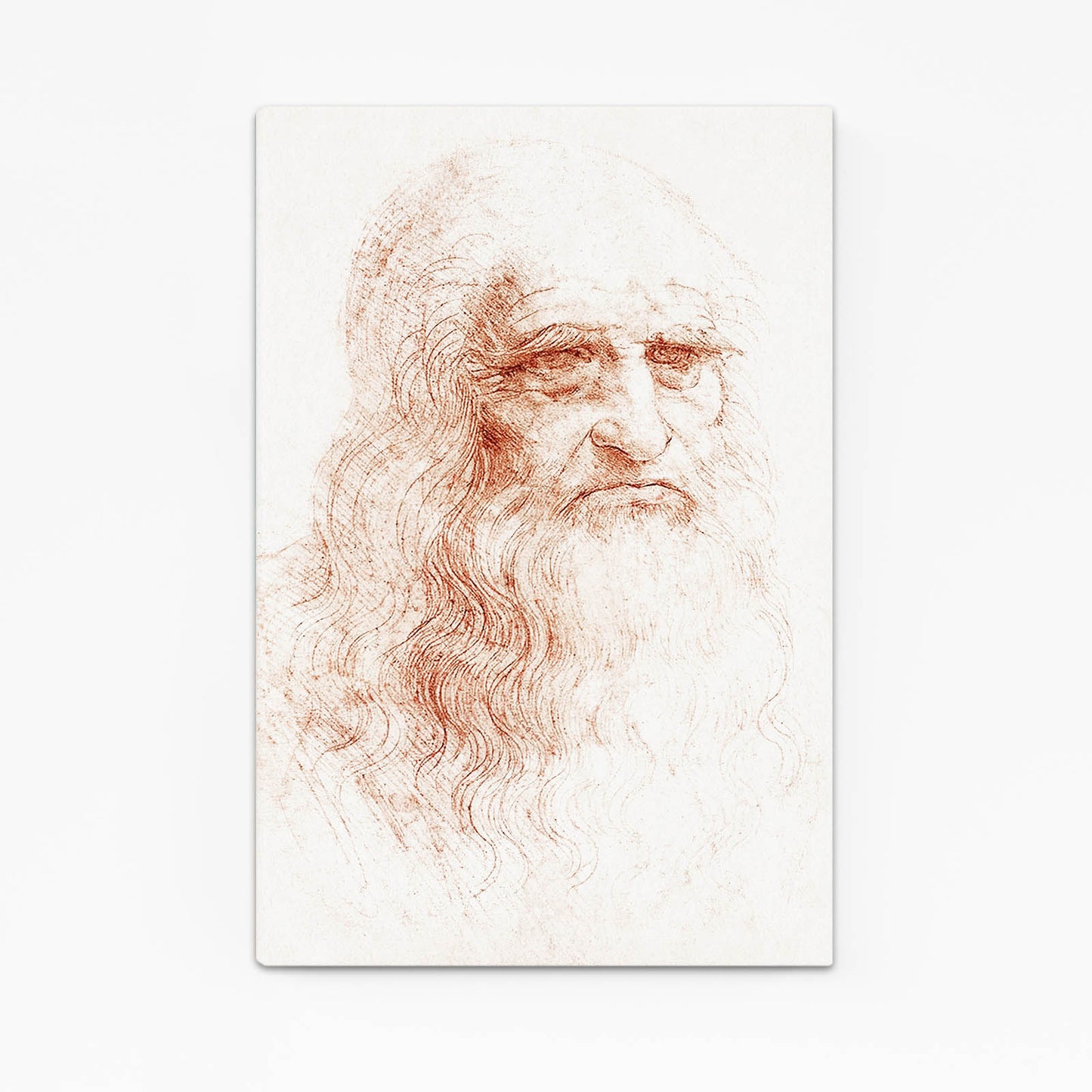 Turin Self Portrait Da Vinci Prints – turin self portrait da vinci canvas print
