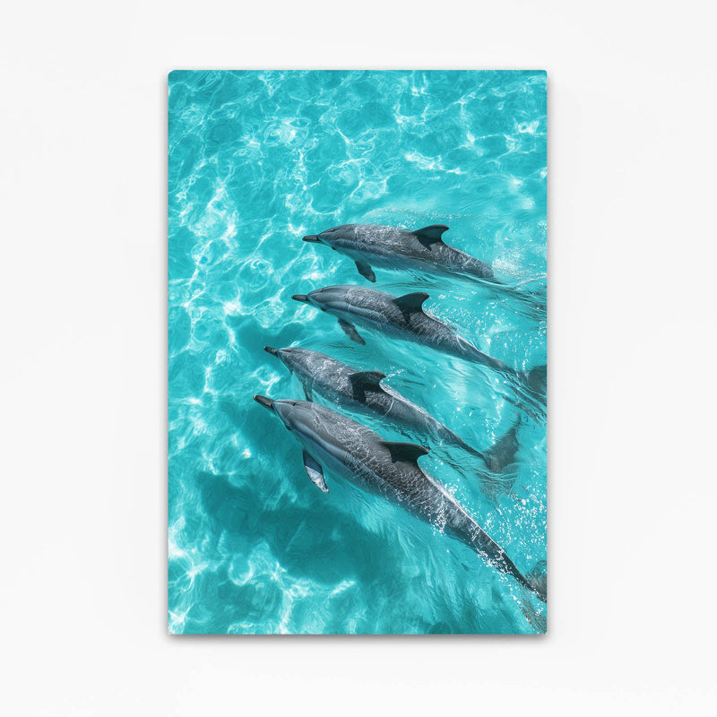 Turquoise Pod Dolphin Print – four dolphins gliding in formation over sunlit turquoise shallows, aerial view